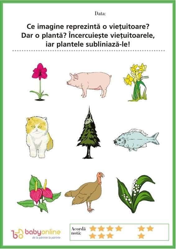 incercuieste vietuitoare si planta 2.jpg