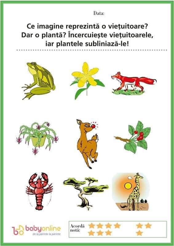 incercuieste vietuitoare si plante.jpg