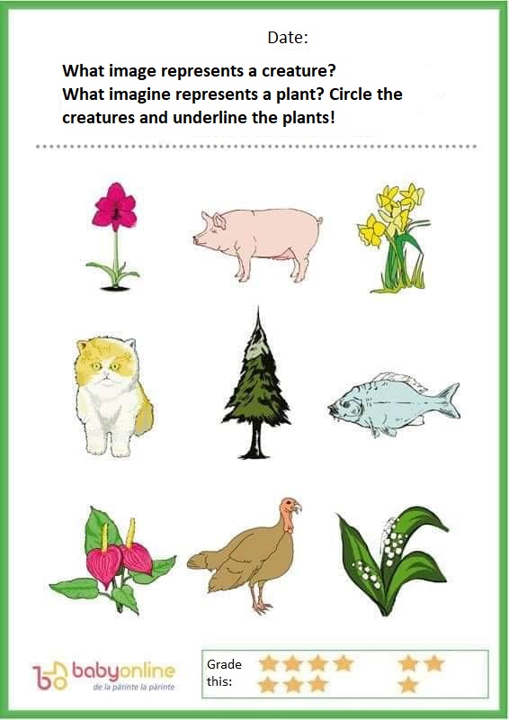 Circle creatures and underline plants.jpg