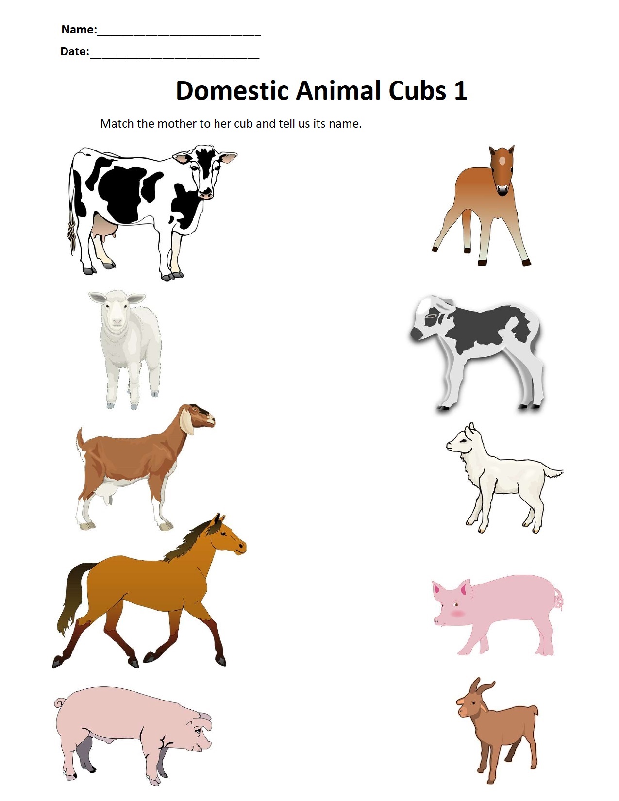 Domestic animal cubs 1.jpg