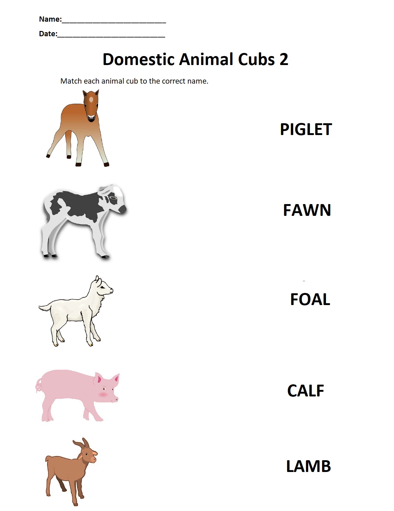 Domestic animal cubs 2.jpg