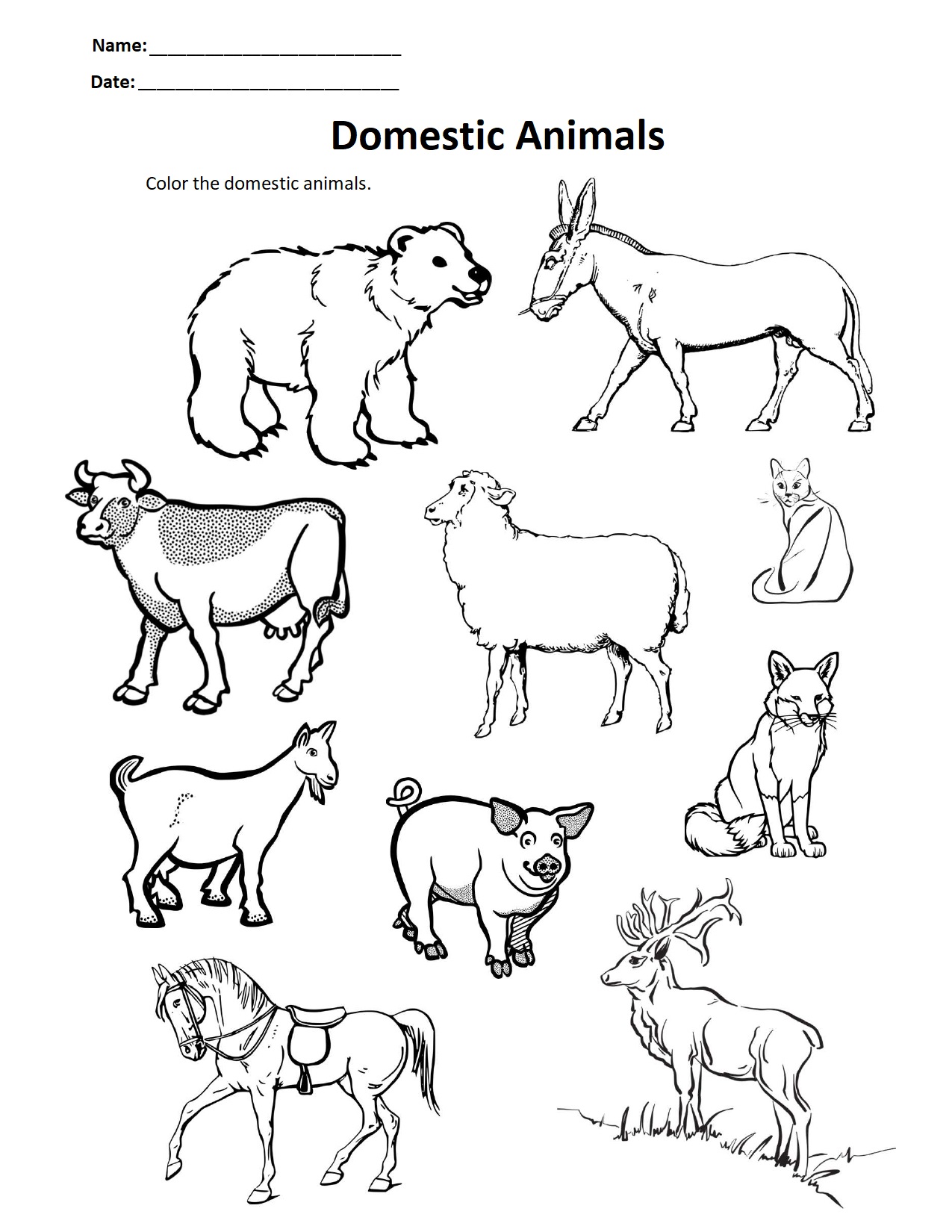 Domestic animals 1.jpg