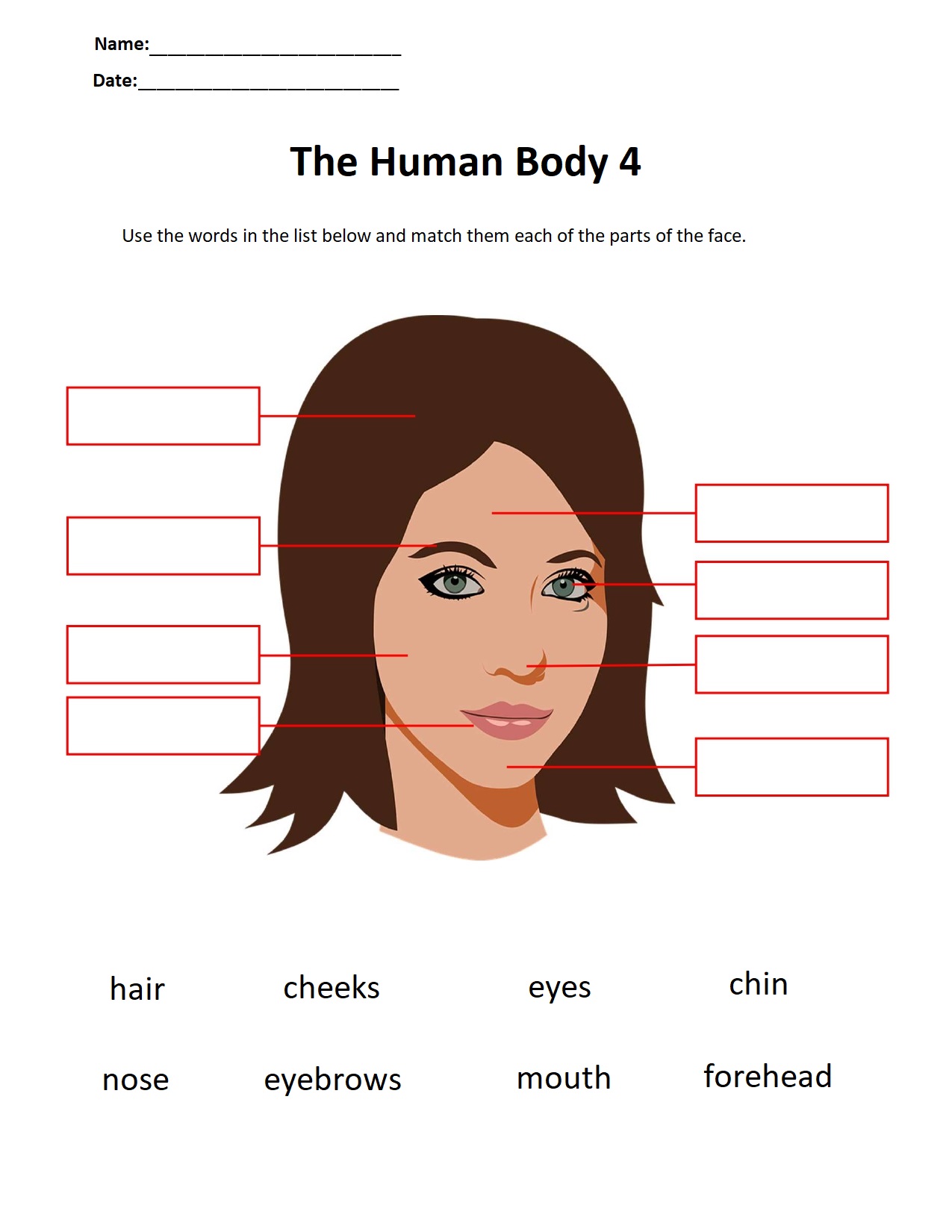 The Human Body 4.jpg