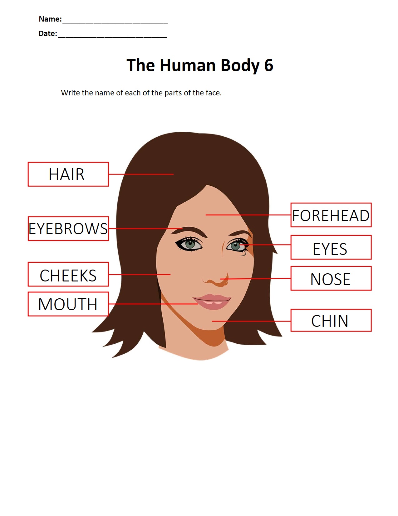 The Human Body 6.jpg