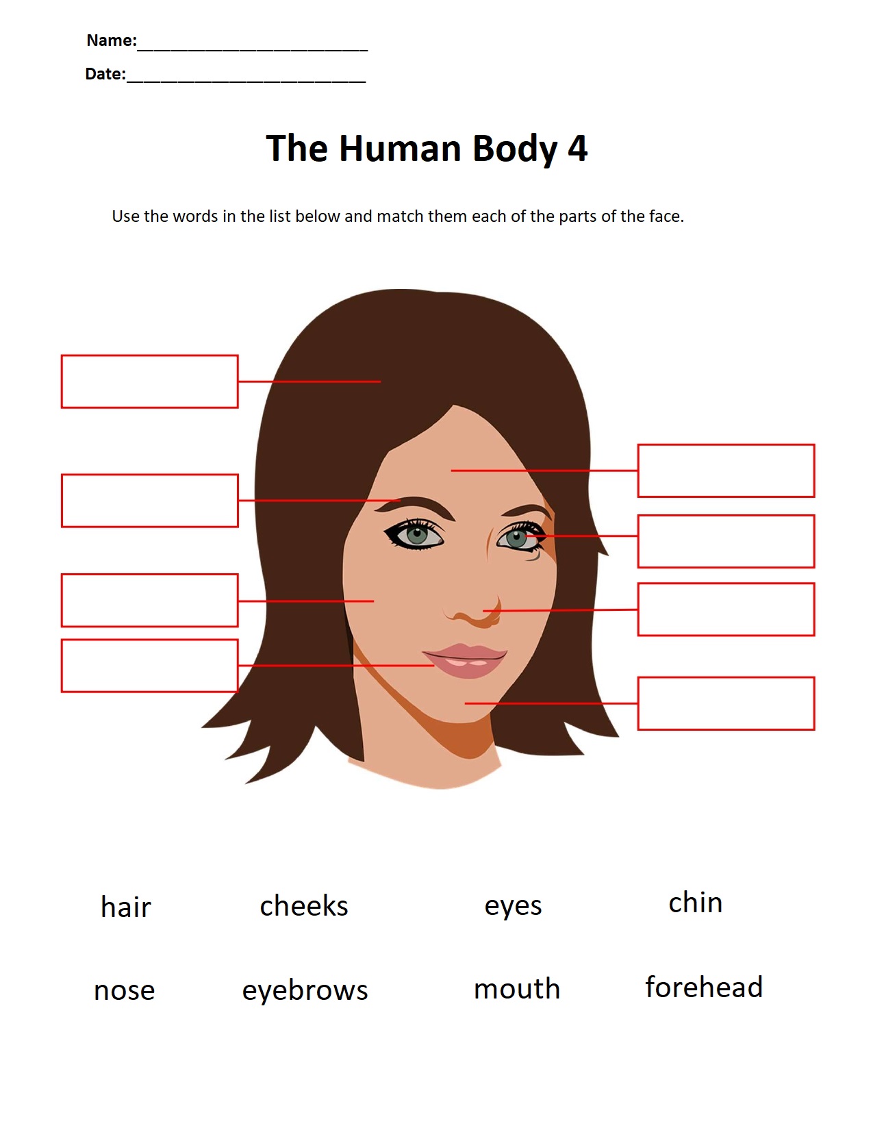 anatomy-study-guide-ebook-rental-anatomy-life-science-human